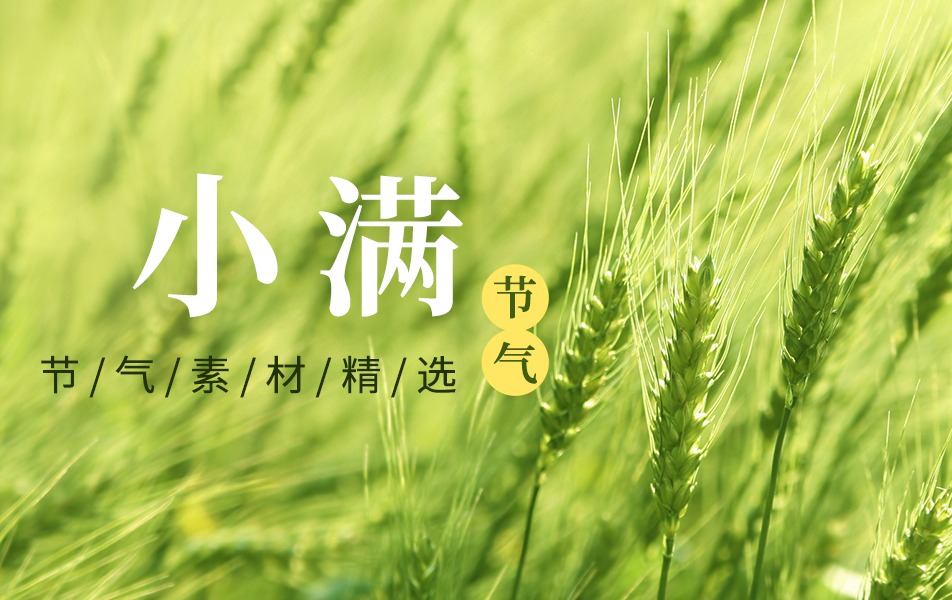 热门专题