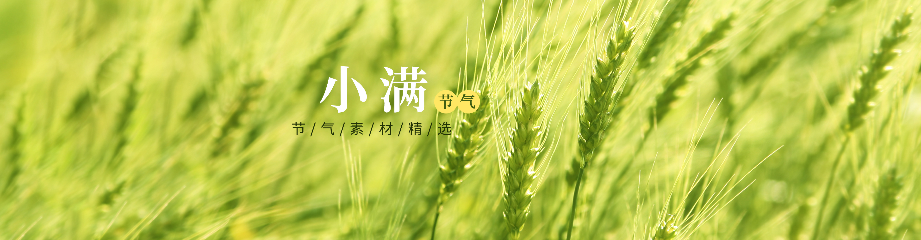 小满