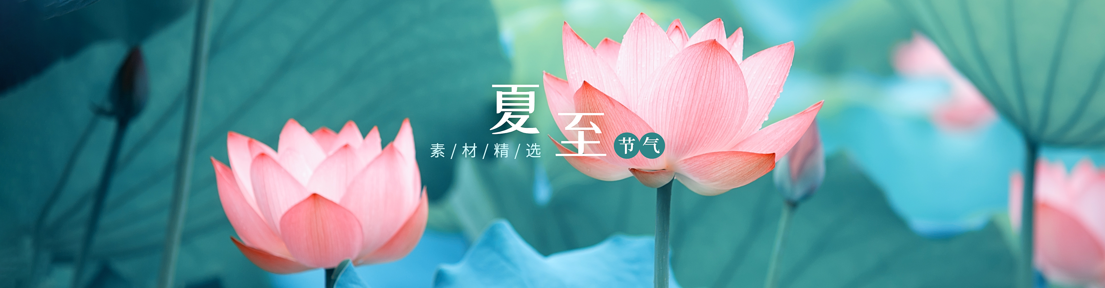 夏至