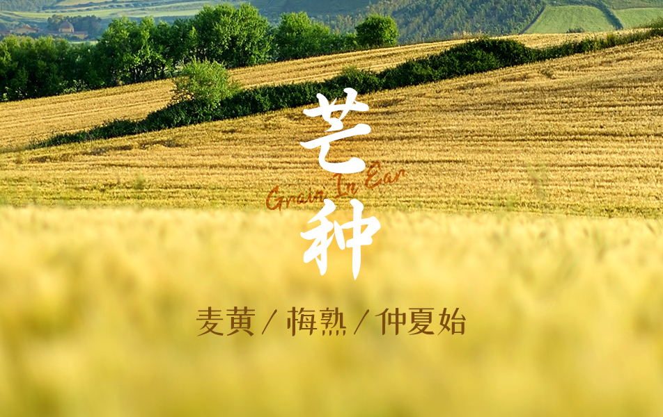 热门专题