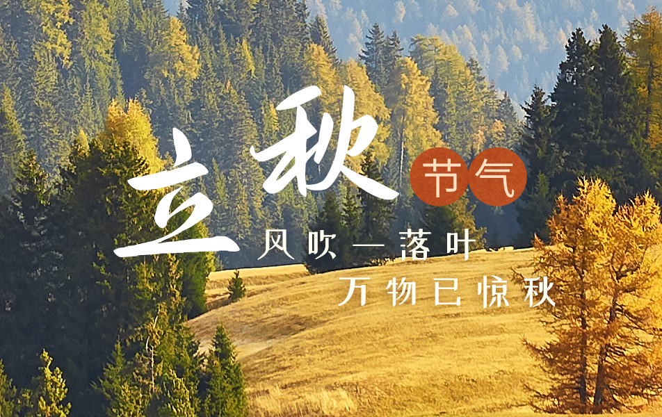 热门专题