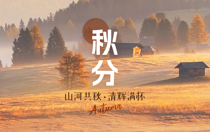 热门专题